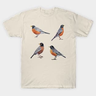 American Robin Set T-Shirt